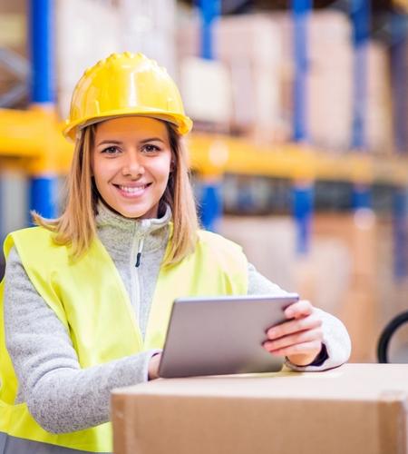 distribution erp excellence